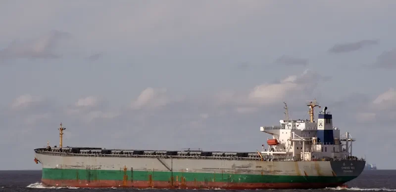 CHANG HO Bulk Carrier IMO 9192416 photo 4
