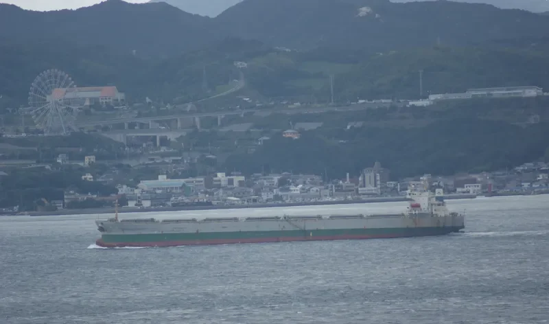 CHANG HO Bulk Carrier IMO 9192416 photo 7