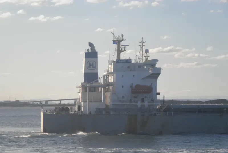 CHANG HO Bulk Carrier IMO 9192416 photo 9