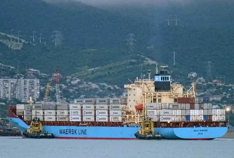 NELE MAERSK Container Ship IMO 9192442