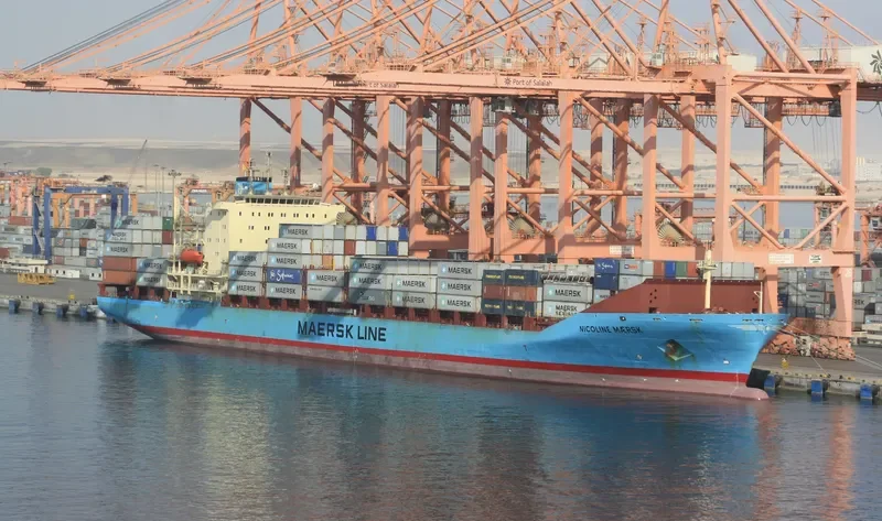 NICOLINE MAERSK Container Ship IMO 9192466 photo 2