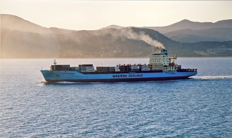 NICOLINE MAERSK Container Ship IMO 9192466 photo 8