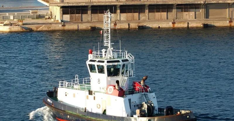 MISTRAL 8 General Cargo IMO 9192583 photo 4