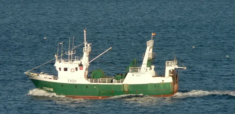 MONTELOURO General Cargo IMO 9192844 photo 8