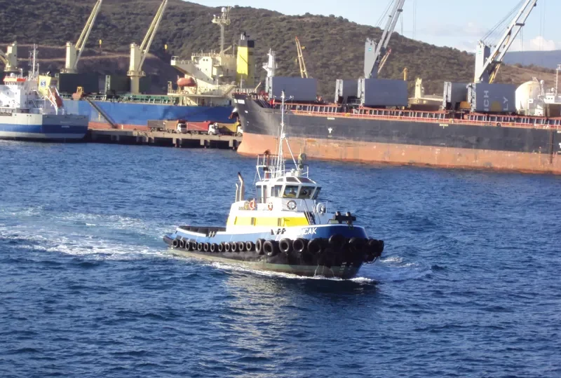 ALSANCAK General Cargo IMO 9193056 photo 3
