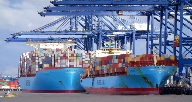 MAERSK IDAHO Container Ship IMO 9193264 photo 5