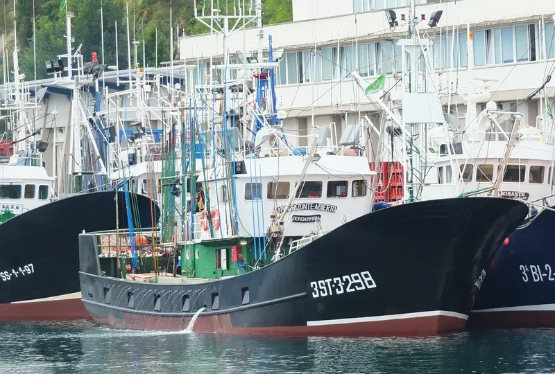 NUEVO HORIZONTE ABIERTO General Cargo IMO 9193343 photo 3