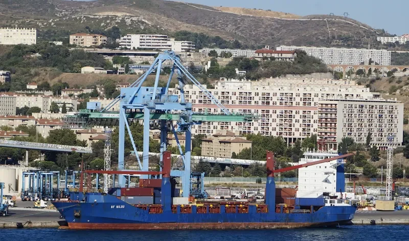 BF NILOU Container Ship IMO 9193513 photo 2