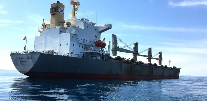 ELENA TOPIC Bulk Carrier IMO 9193692 photo 2