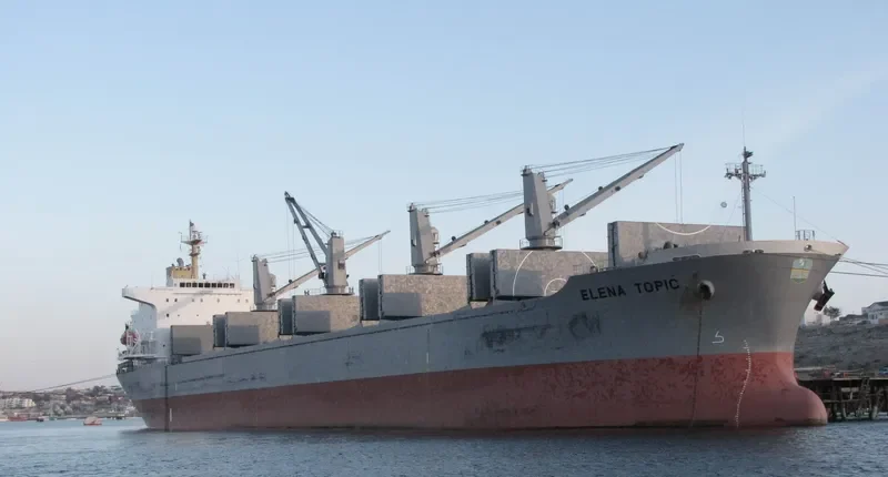 ELENA TOPIC Bulk Carrier IMO 9193692 photo 9