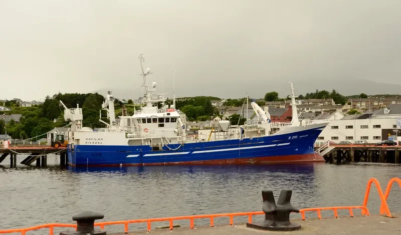 HAVILAH General Cargo IMO 9193771 photo 6