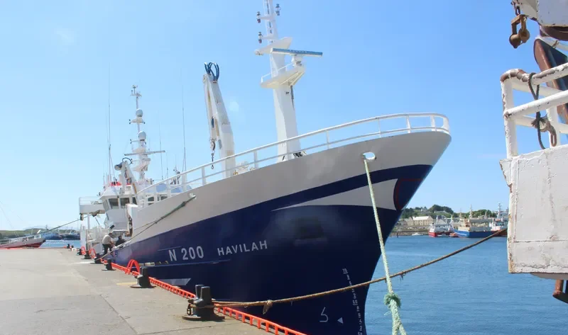 HAVILAH General Cargo IMO 9193771 photo 8