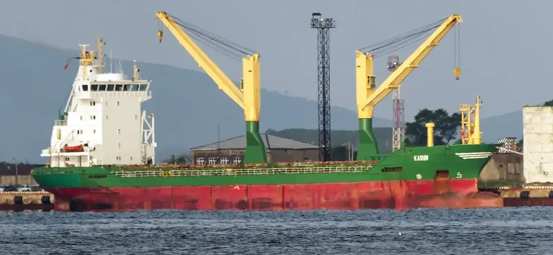 INDUSTRIAL AMA General Cargo IMO 9193812 photo 8