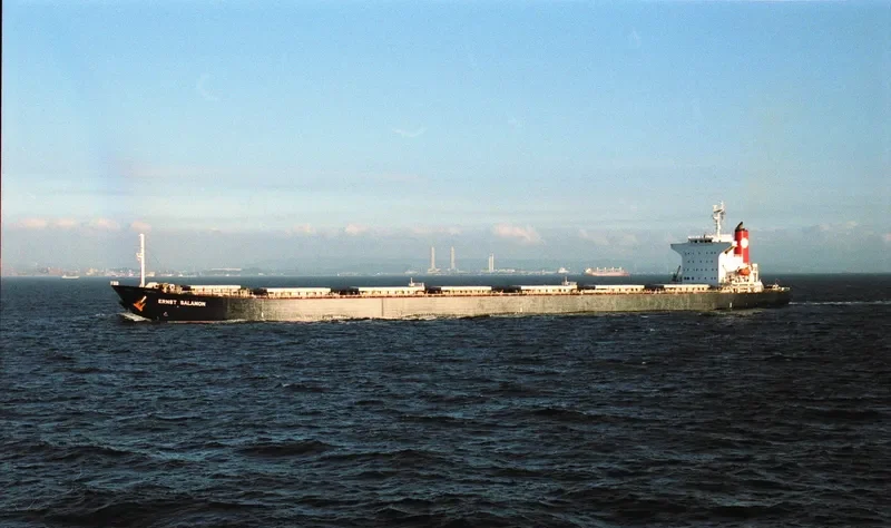 TAI HANG 9 Bulk Carrier IMO 9193850 photo 4