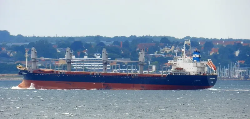 INLACO BRIGHT Bulk Carrier IMO 9193862 photo 10