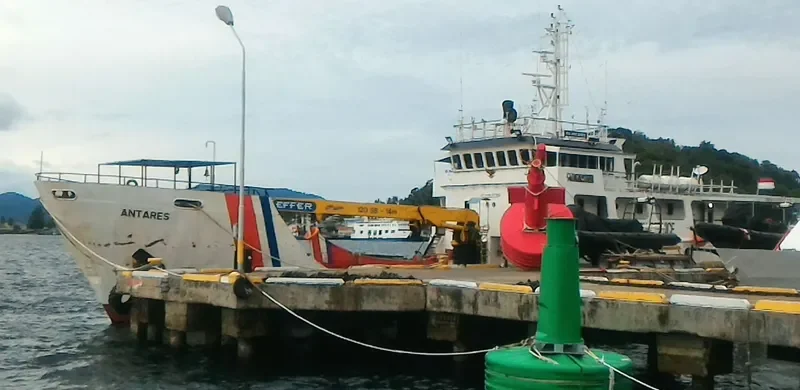 ANTARES General Cargo IMO 9193915 photo 3