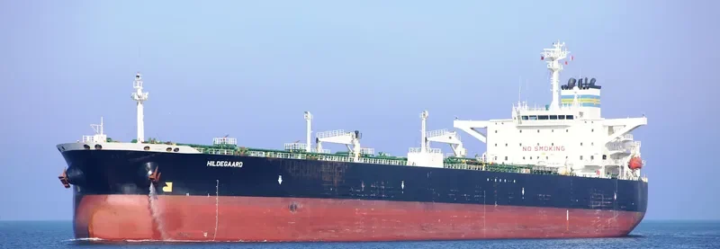DOMINAR Tanker IMO 9194139 photo 8