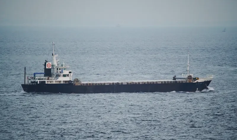 KUROKAWA MARU General Cargo IMO 9194359 photo 8
