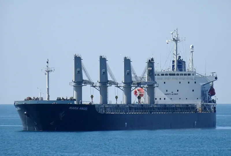 IKARIA ANGEL Bulk Carrier IMO 9194397 photo 5