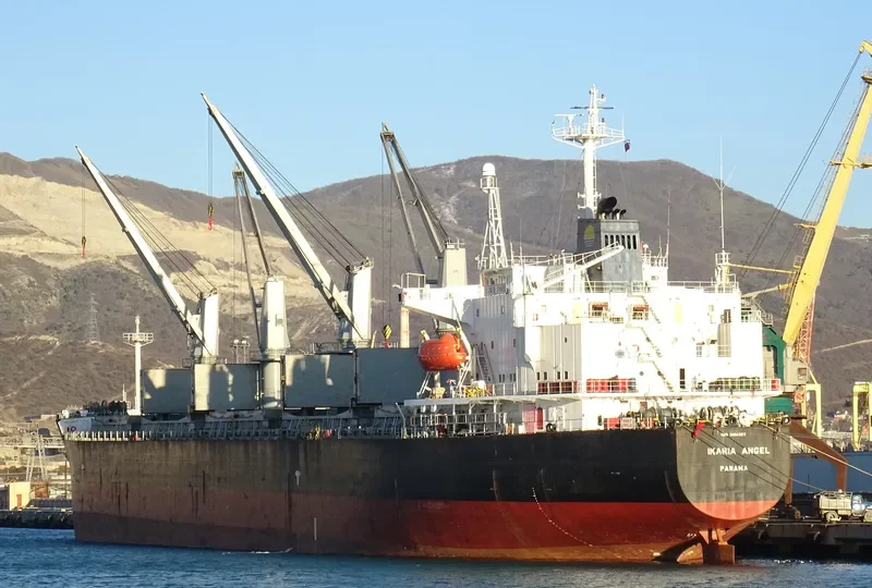 IKARIA ANGEL Bulk Carrier IMO 9194397 photo 10