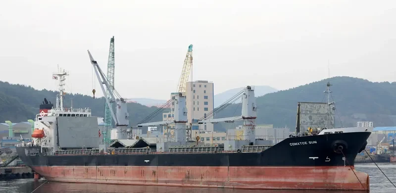 SEA LUCK Bulk Carrier IMO 9194464