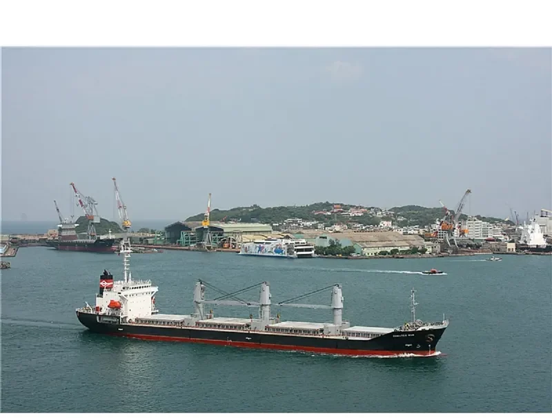 SEA LUCK Bulk Carrier IMO 9194464 photo 7