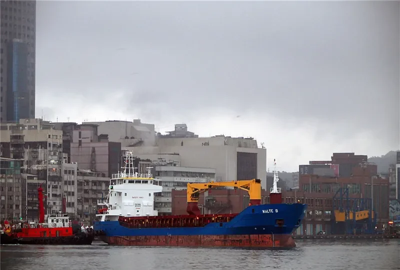 ASELA General Cargo IMO 9194854