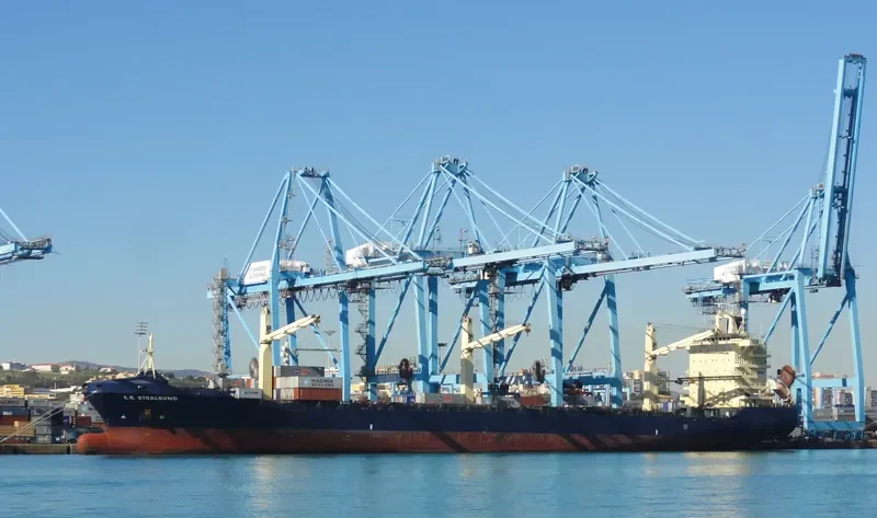 MSC CHERYL 3 Container Ship IMO 9194866 photo 9