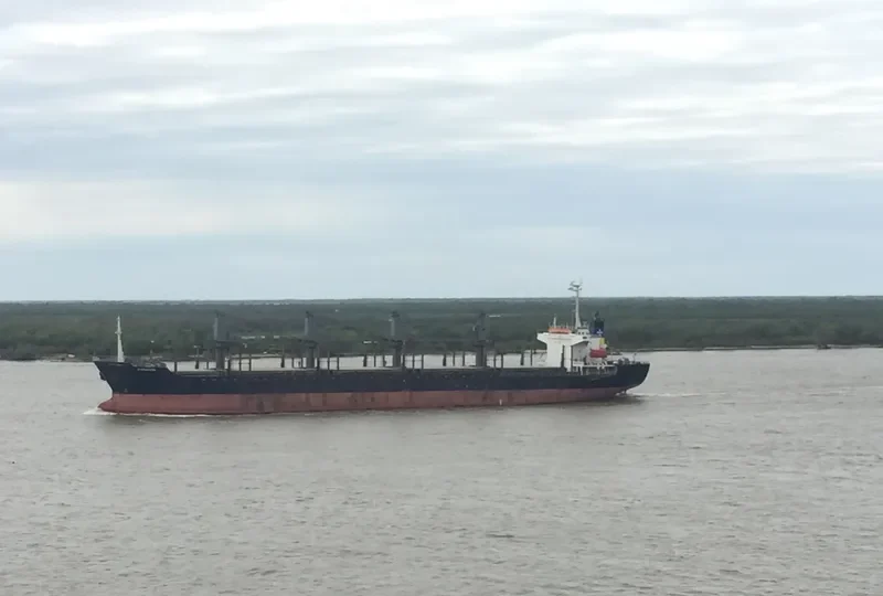 PARAGON Bulk Carrier IMO 9194880