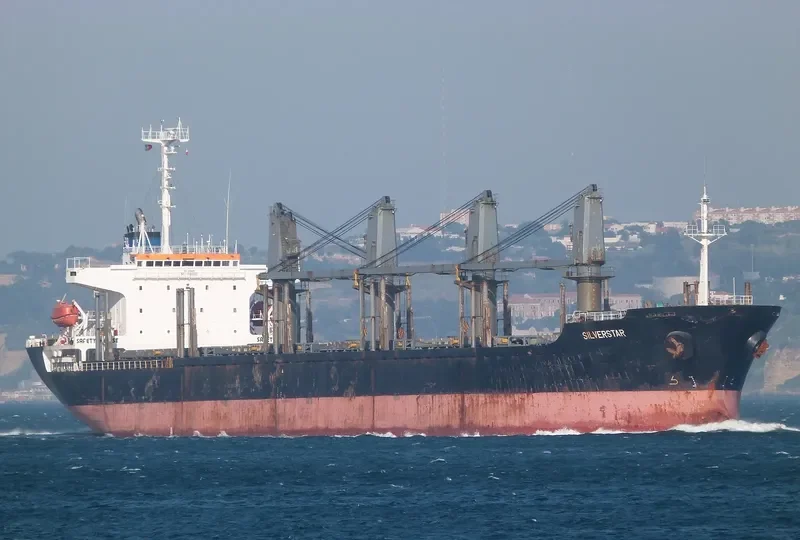 PARAGON Bulk Carrier IMO 9194880 photo 4