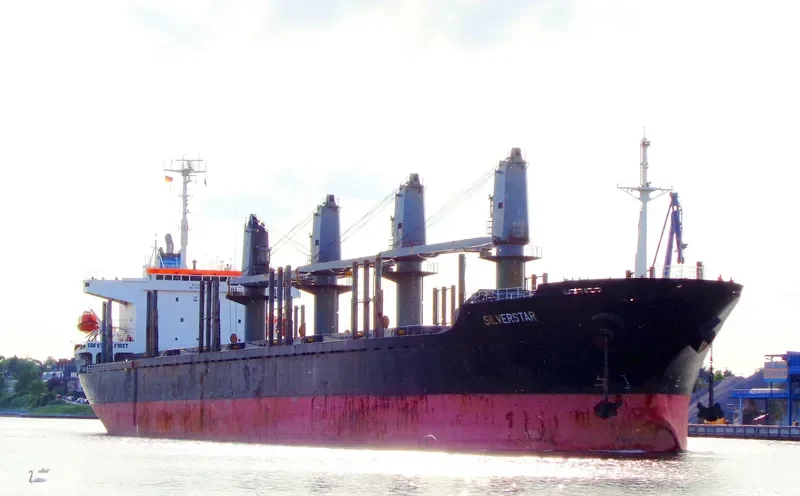 PARAGON Bulk Carrier IMO 9194880 photo 6