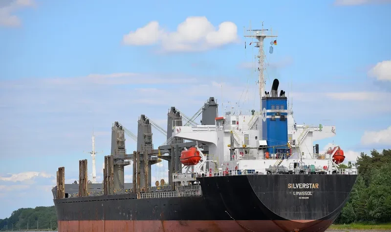 PARAGON Bulk Carrier IMO 9194880 photo 9