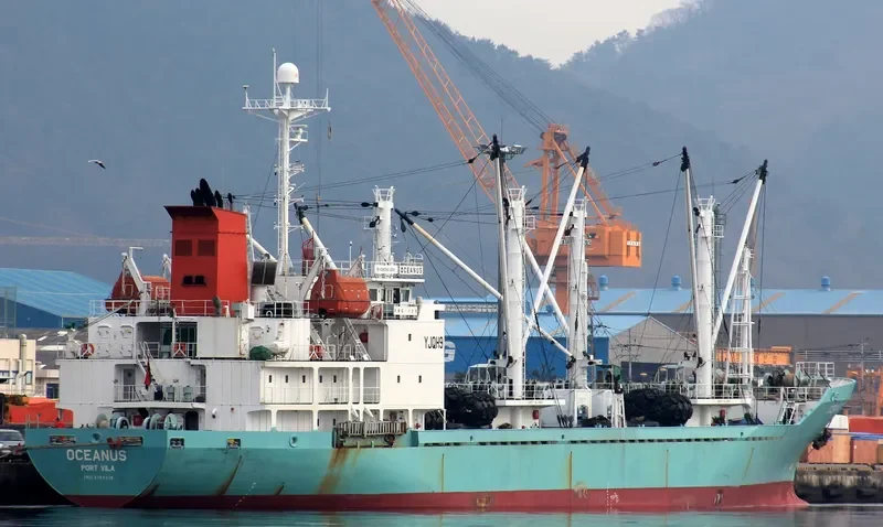 OCEANUS General Cargo IMO 9194919 photo 2