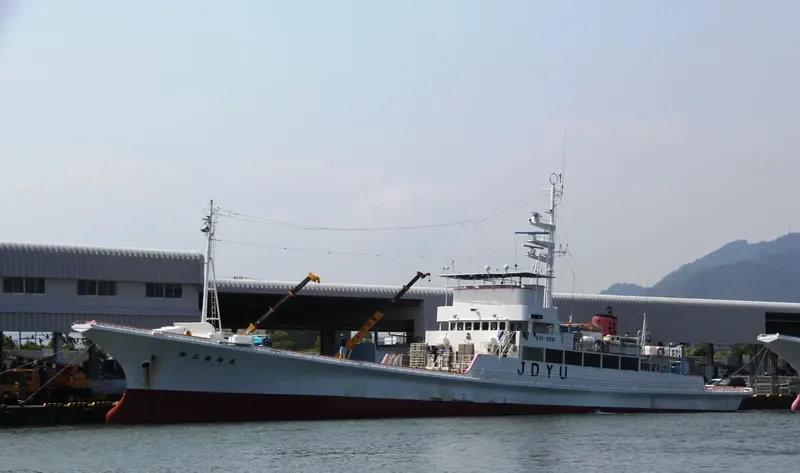 KYOYO MARU NO.3 General Cargo IMO 9194945 photo 3