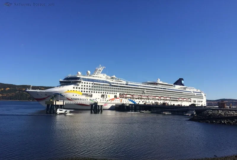 NORWEGIAN DAWN Passenger Ship IMO 9195169