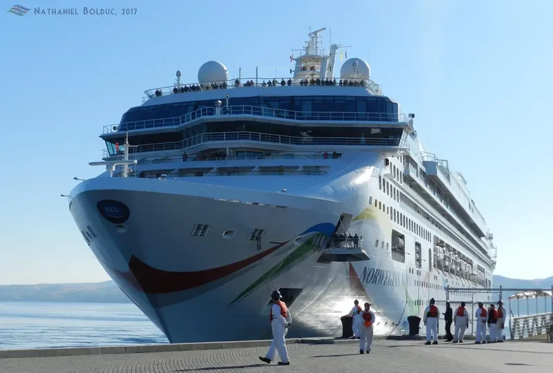 NORWEGIAN DAWN Passenger Ship IMO 9195169 photo 2