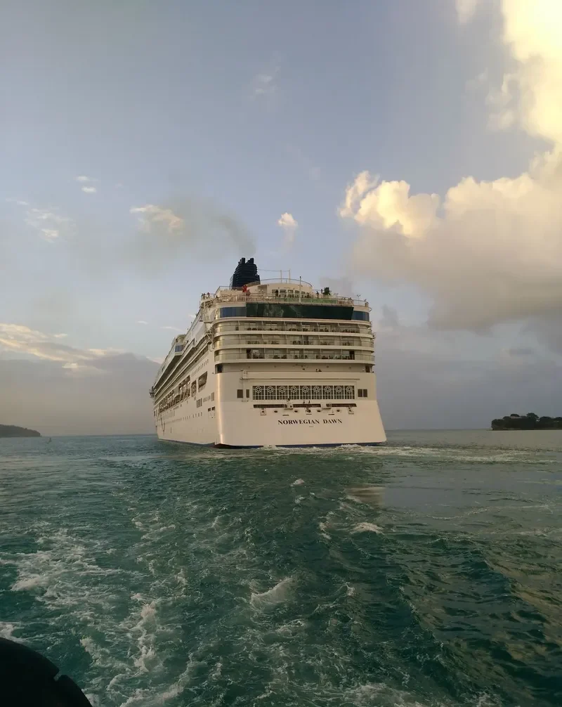 NORWEGIAN DAWN Passenger Ship IMO 9195169 photo 5
