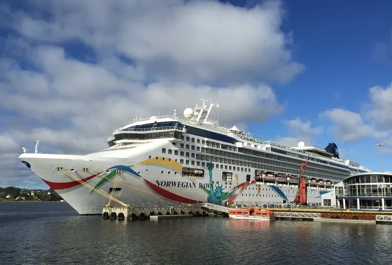 NORWEGIAN DAWN Passenger Ship IMO 9195169 photo 9