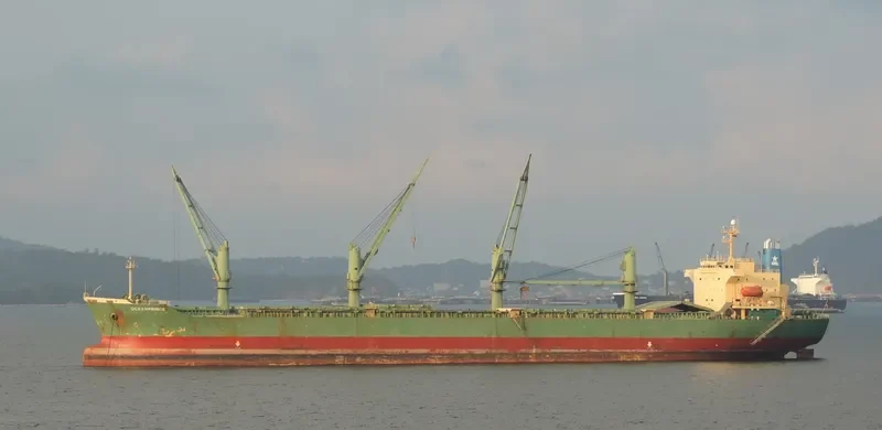 OCEANPRINCE Bulk Carrier IMO 9195286 photo 6