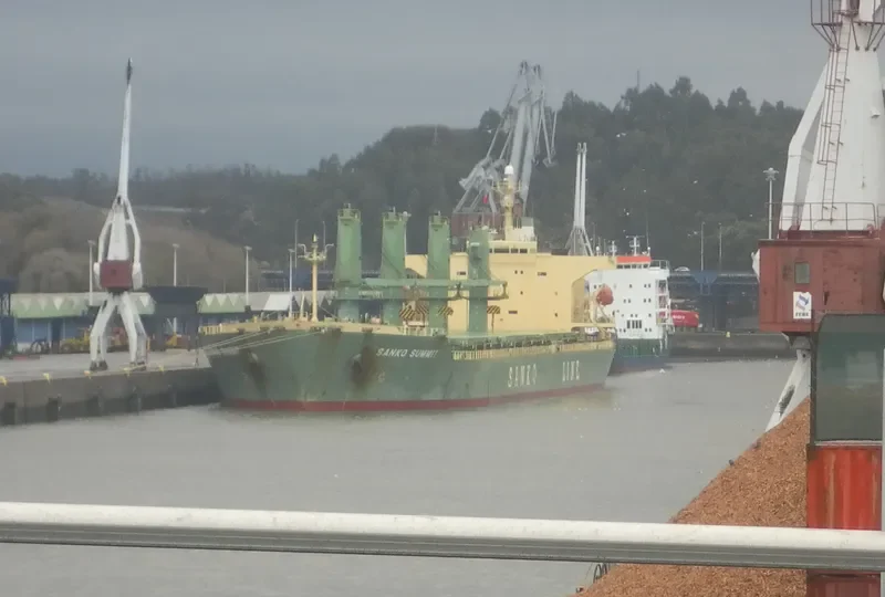 OCEANPRINCE Bulk Carrier IMO 9195286 photo 10