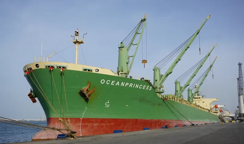 OCEANPRINCESS General Cargo IMO 9195298 photo 2