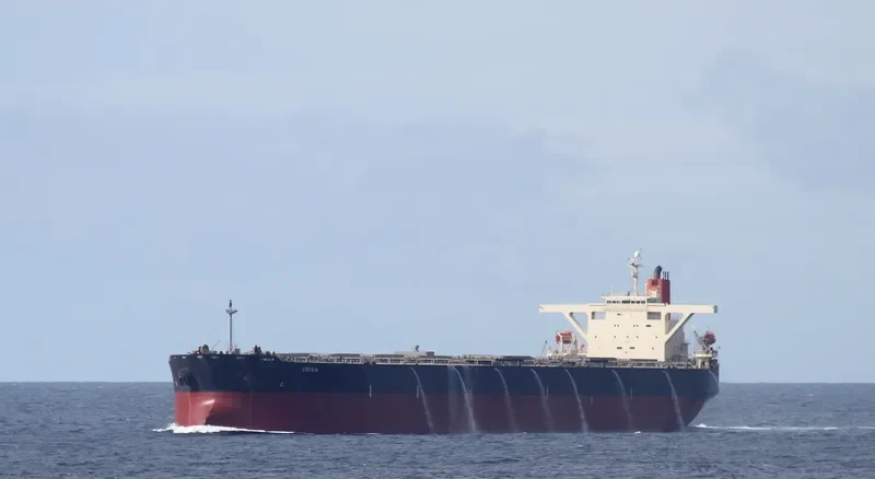 NEW ATHENS Bulk Carrier IMO 9195303 photo 3