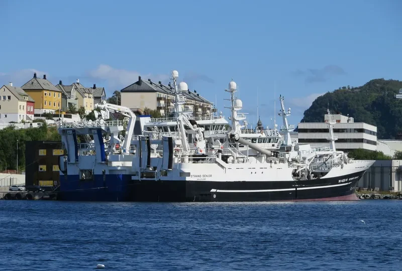 STRAND SENIOR 2 General Cargo IMO 9195779