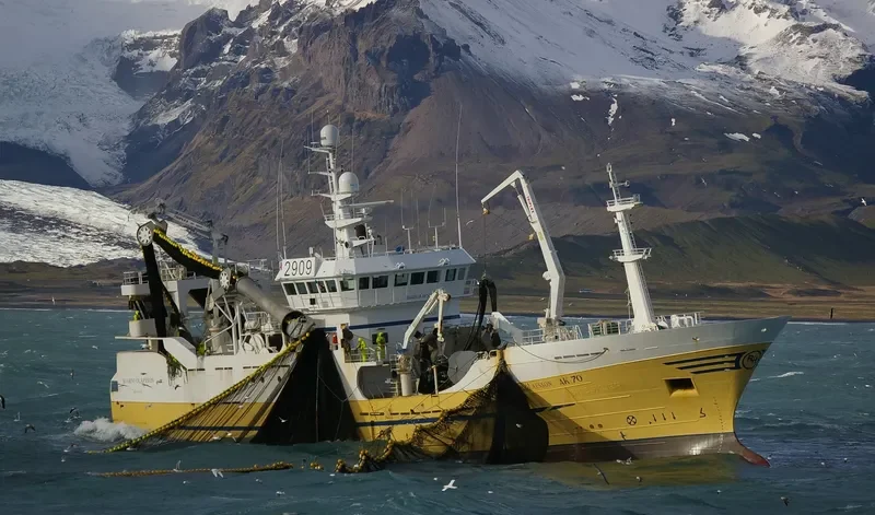 BJARNI OLAFSSON General Cargo IMO 9195781