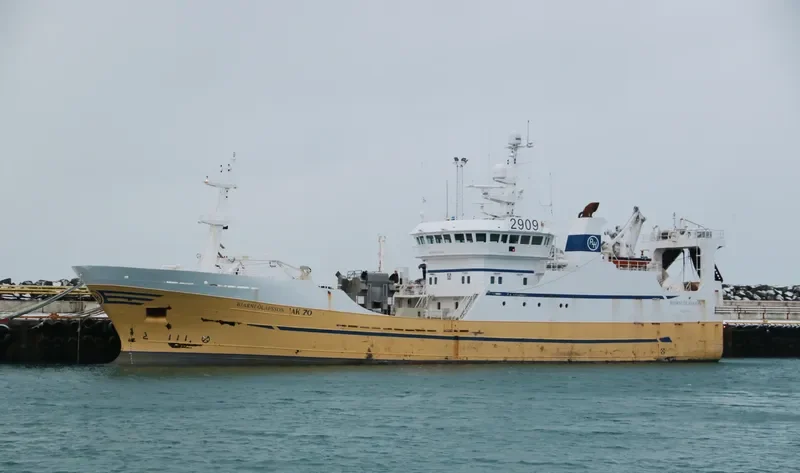 BJARNI OLAFSSON General Cargo IMO 9195781 photo 4