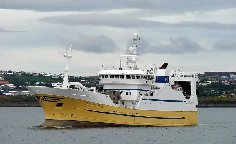BJARNI OLAFSSON General Cargo IMO 9195781 photo 5