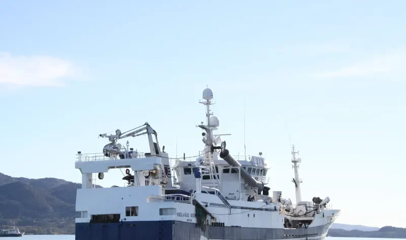 SELVAG SENIOR General Cargo IMO 9195793 photo 3
