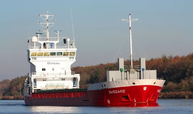 ELENA L General Cargo IMO 9195901 photo 9
