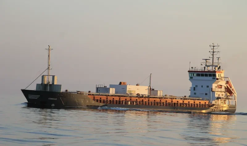 CEMSEA III General Cargo IMO 9195925 photo 3