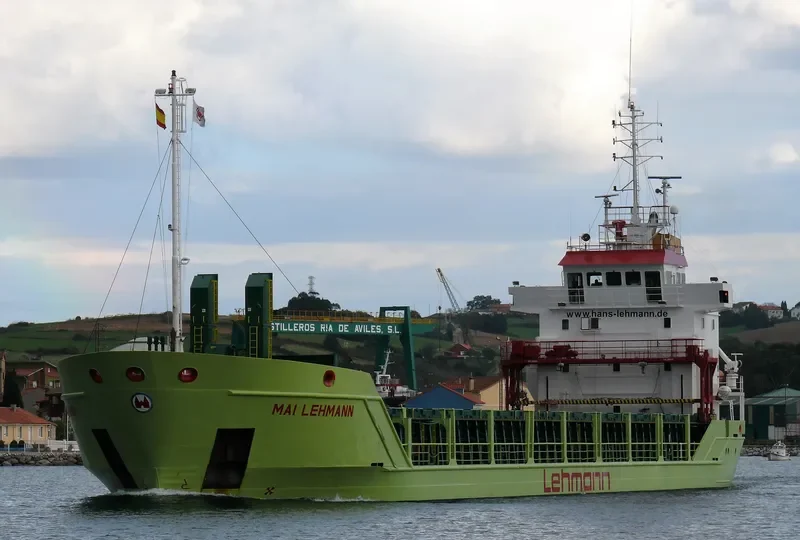 MAI LEHMANN Container Ship IMO 9196175 photo 3